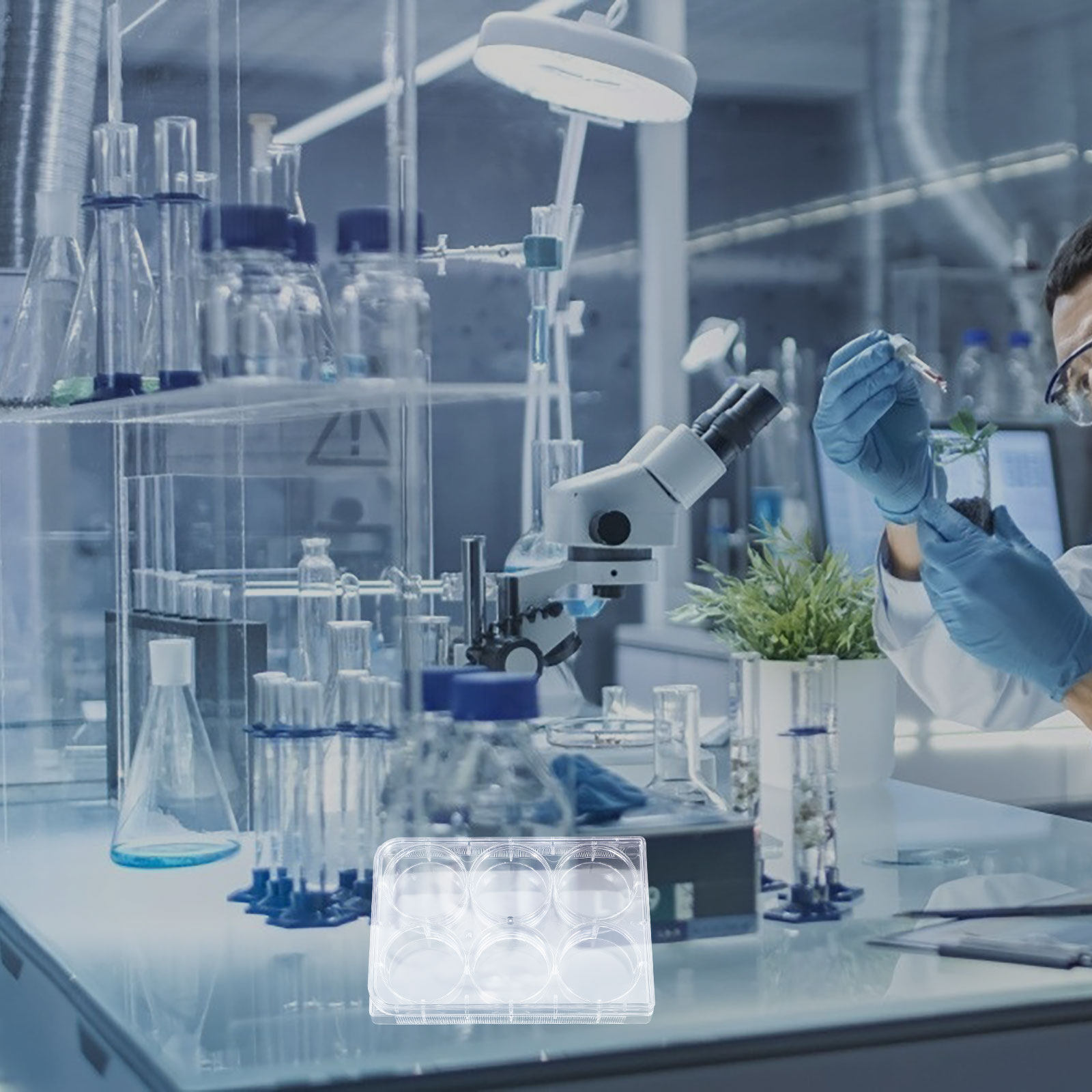 Lab Equipment - แผ่นเพาะเลี้ยงเนื้อเยื่อ 6 หลุม อุปกรณ์ที่แข็งแรง ถาดเพาะเลี้ยงเซลล์ อุปกรณ์ห้องปฏิบัติการที่มีประสิทธิภาพ