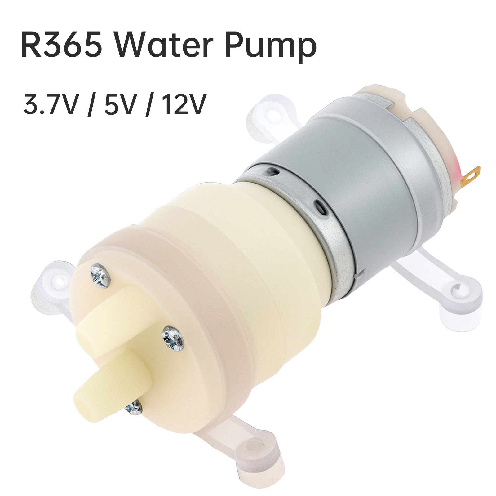 R365 Micro ปั๊มน้ํามอเตอร์ DC  - Mini Peristaltic Pump 12V บทวิจารณ์และราคา