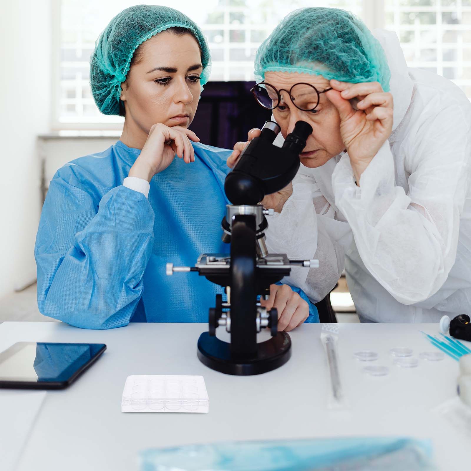 ถาดเพาะเลี้ยงเซลล์แบบ 12 ช่อง  - Lab Equipment บทวิจารณ์และราคา