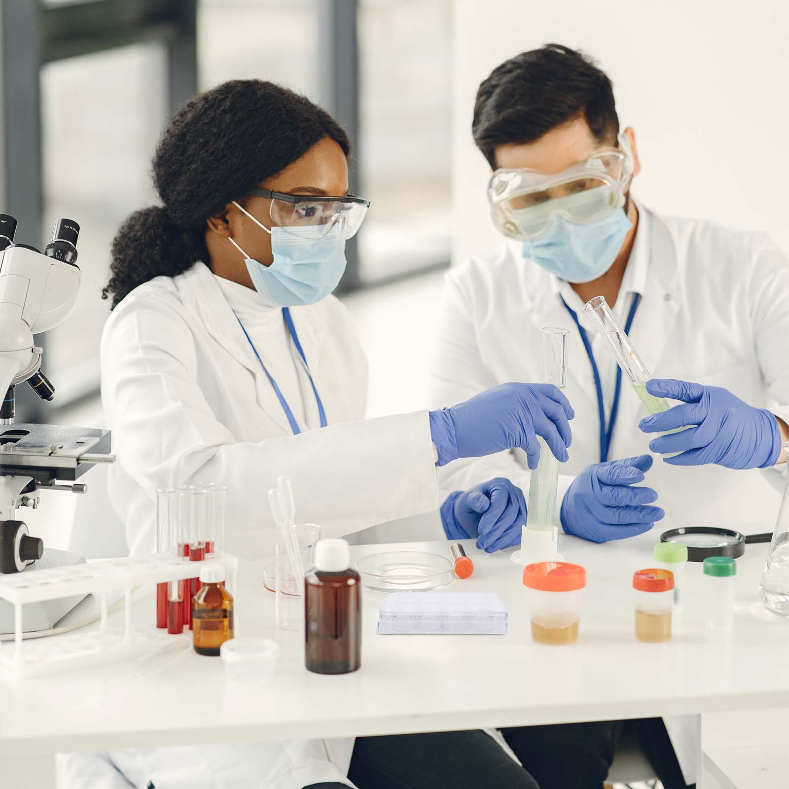 ถาดเพาะเลี้ยงเซลล์แบบ 12 ช่อง  - Lab Equipment บทวิจารณ์และราคา