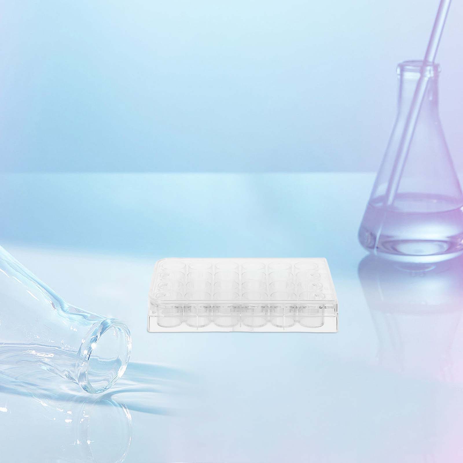 แผ่นเพาะเลี้ยงเซลล์ 24 หลุม 2  - Lab Equipment บทวิจารณ์และราคา