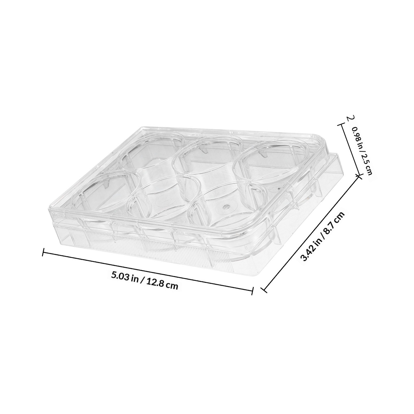 แผ่นเพาะเลี้ยงเนื้อเยื่อ 6 หลุ - Lab Equipment บทวิจารณ์และราคา